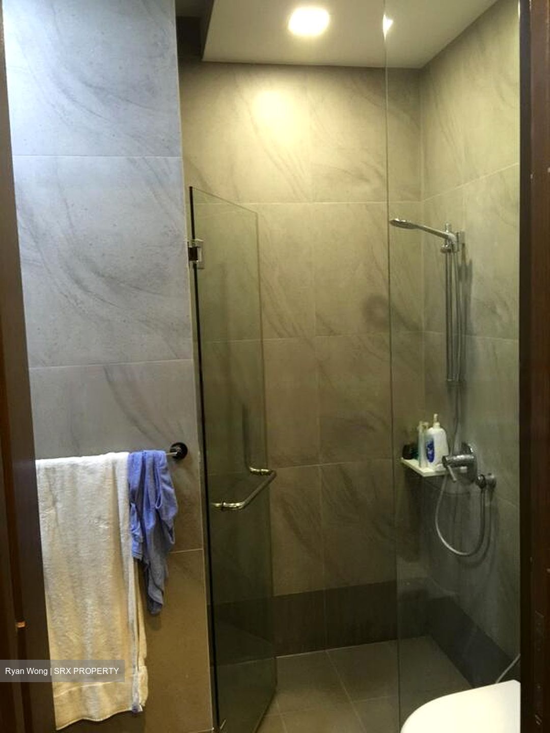 Wishart Road (D4), Condominium #448650261